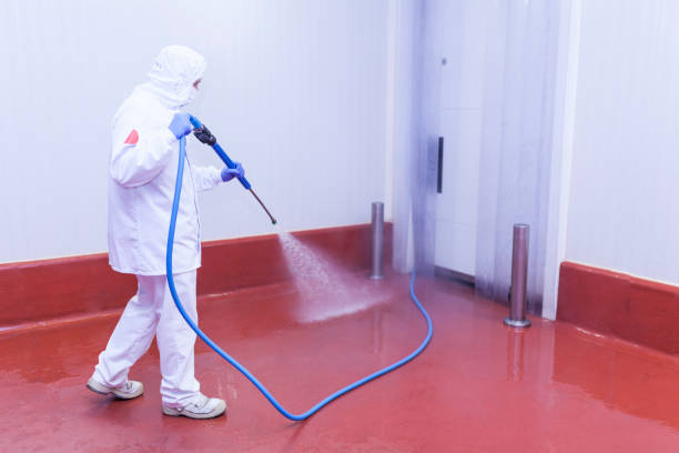 Spring Cleaning in Pine Mountain, GA