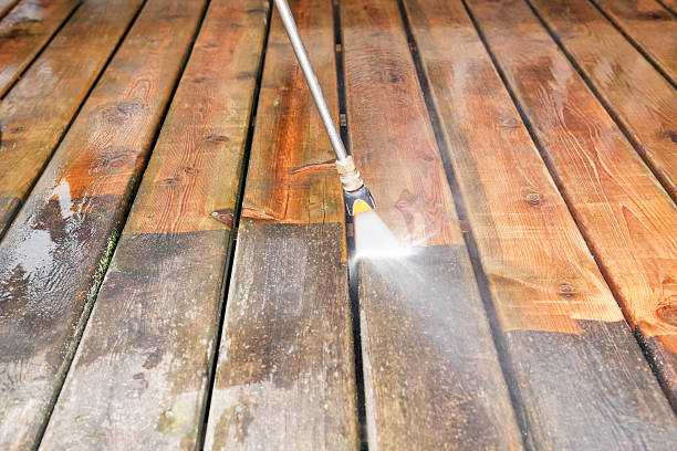 Best Animal Enclosure Cleaning  in Pine Mountain, GA